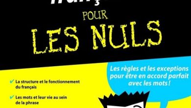 La Grammaire française pour les nuls PDF