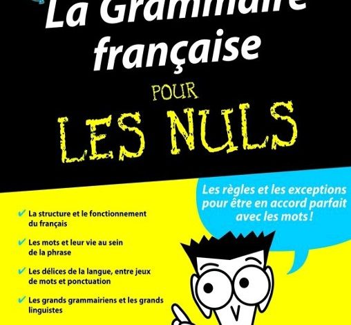 La Grammaire française pour les nuls PDF